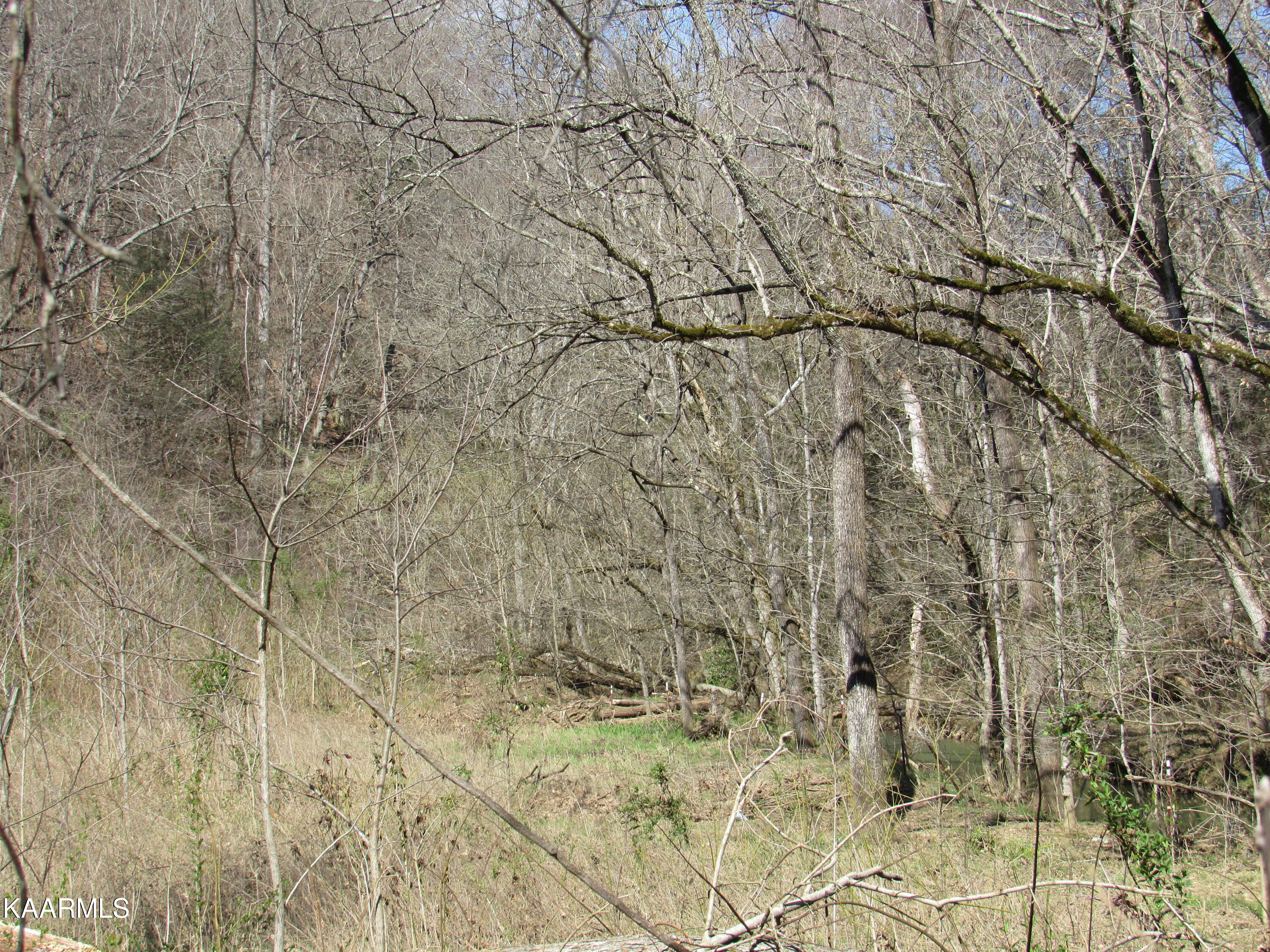 340 Zion Hill Road Seymour, TN 37865 - Photo 49 of 60 IMG_3509