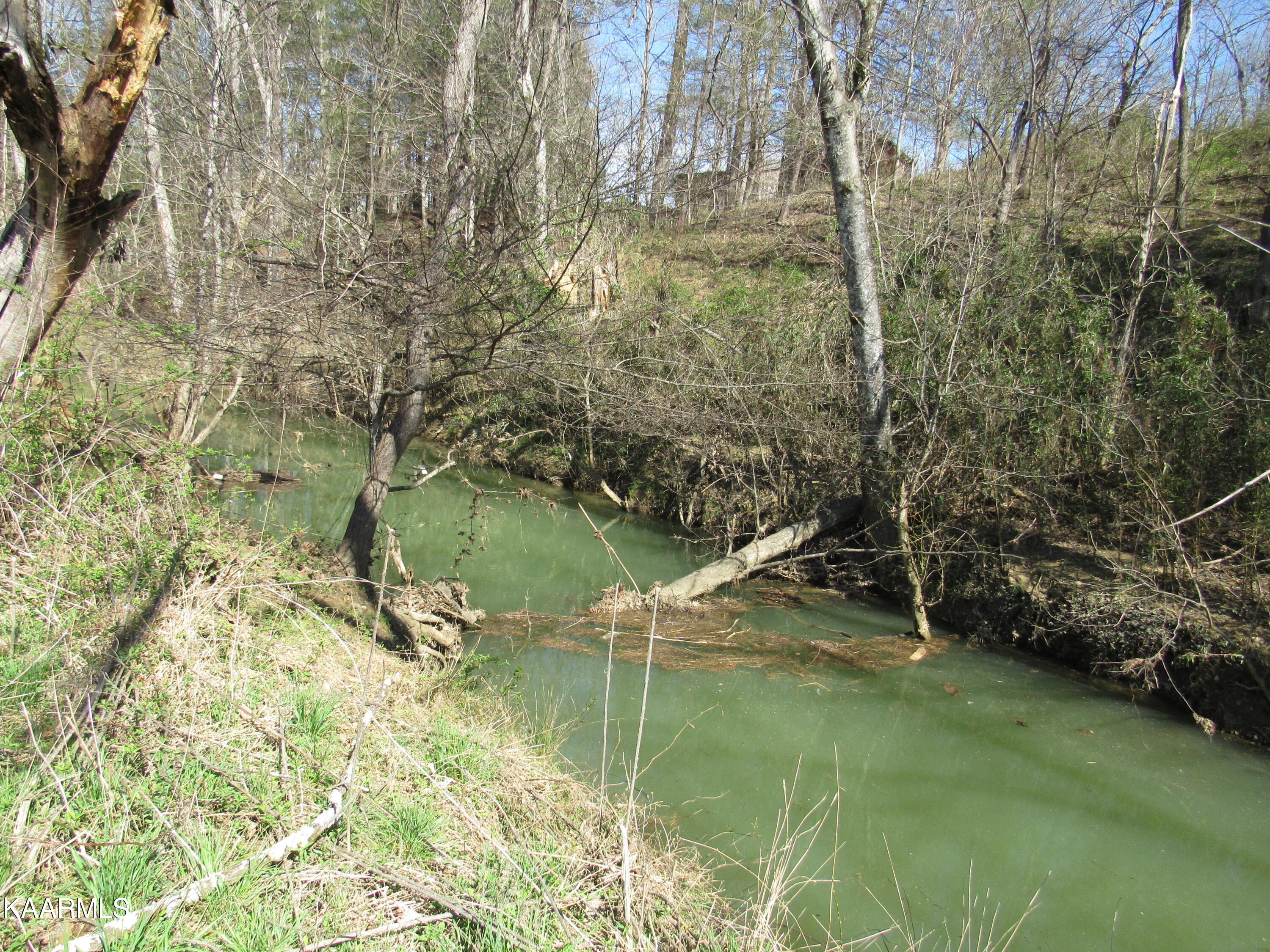 340 Zion Hill Road Seymour, TN 37865 - Photo 50 of 60 IMG_3510