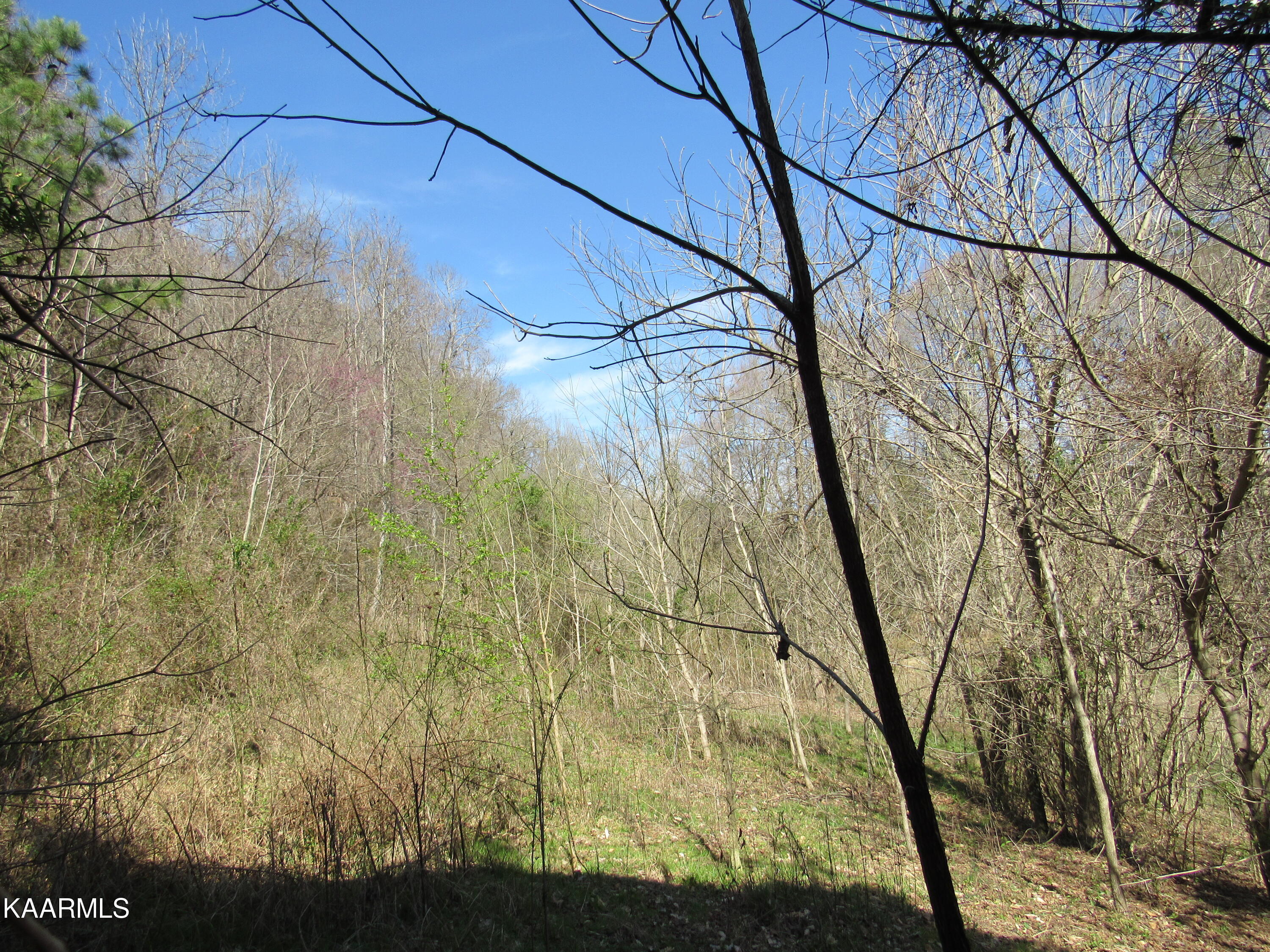 340 Zion Hill Road Seymour, TN 37865 - Photo 5 of 60 IMG_3507