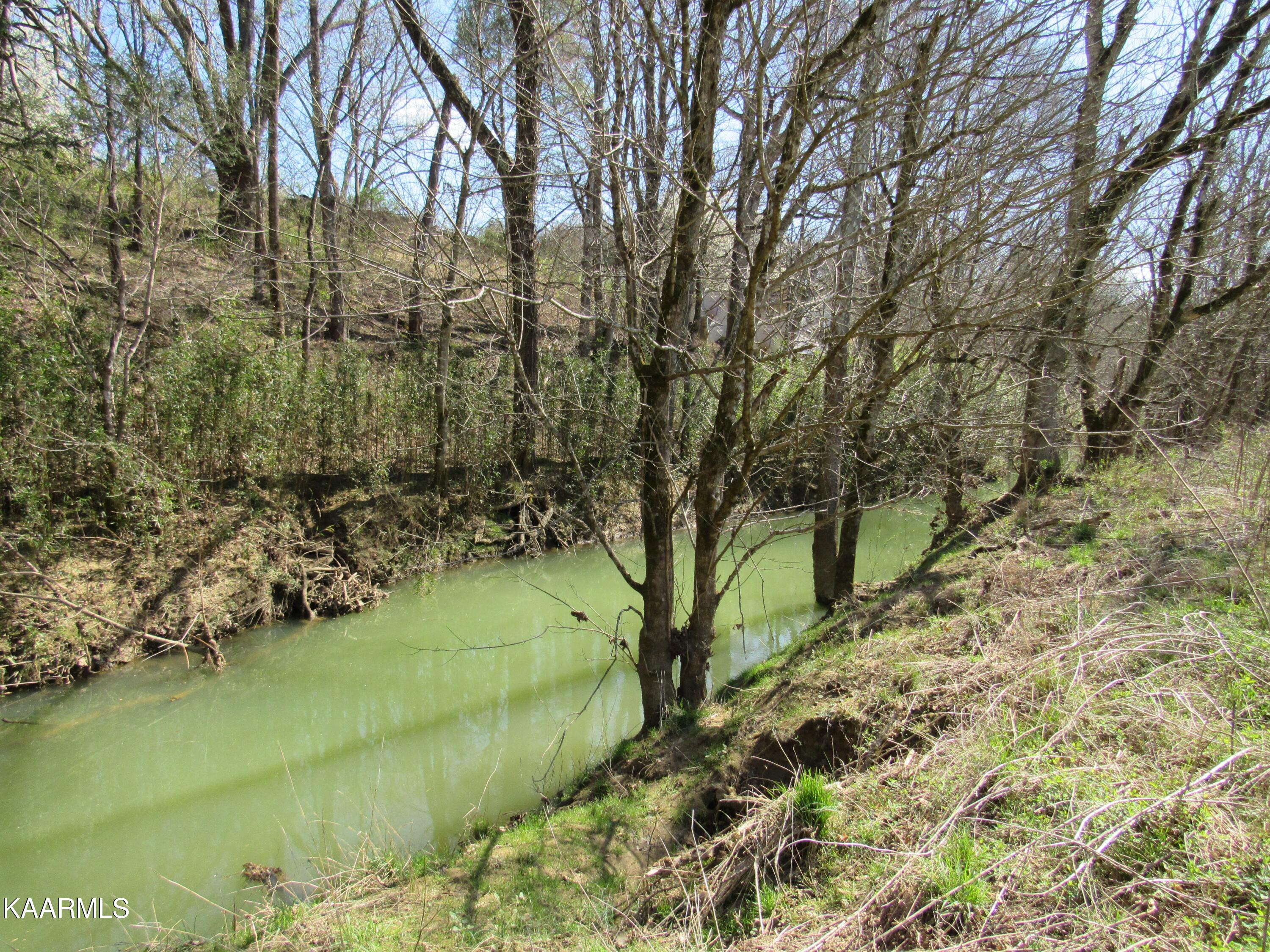 340 Zion Hill Road Seymour, TN 37865 - Photo 51 of 60 IMG_3511