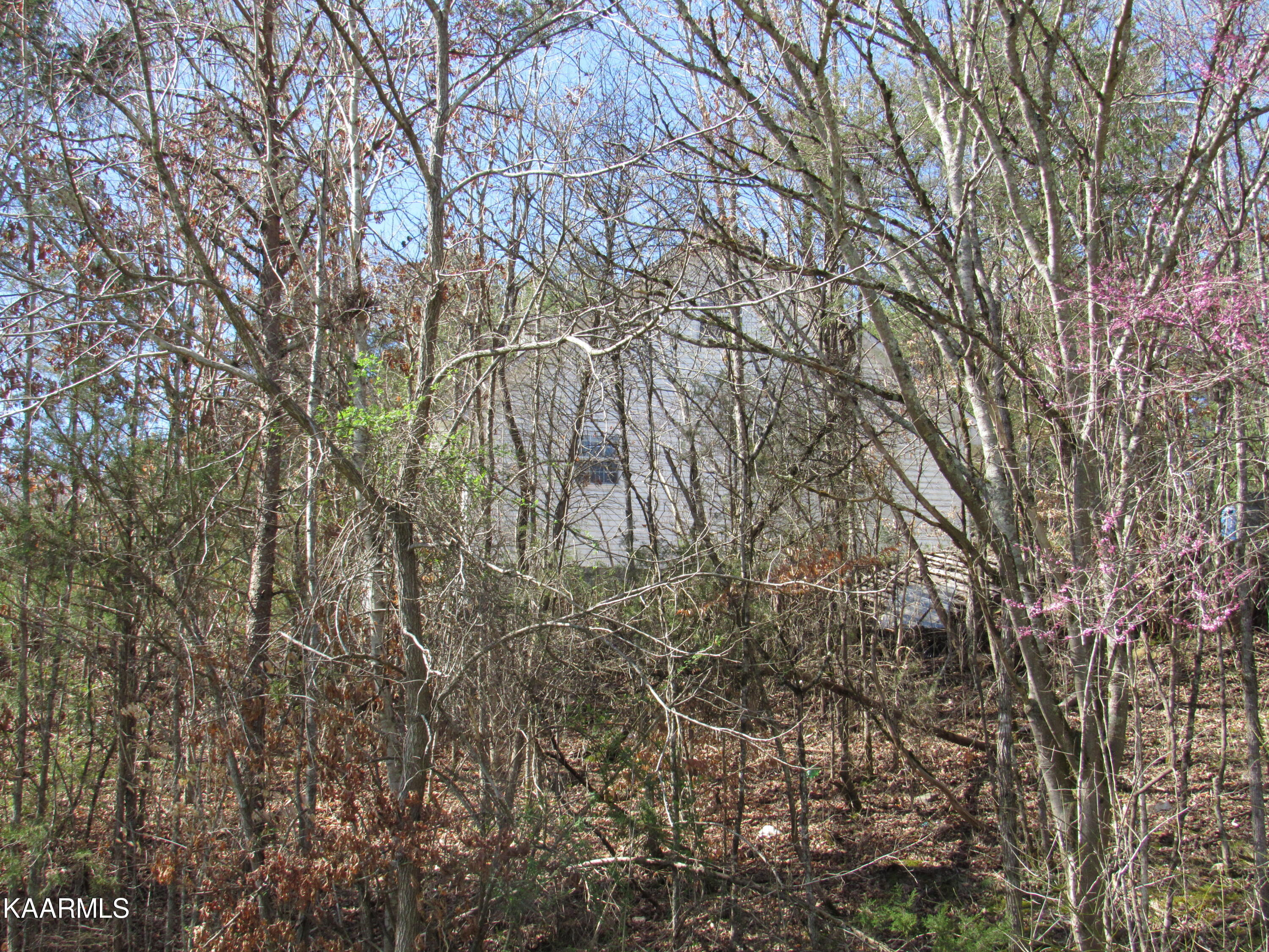 340 Zion Hill Road Seymour, TN 37865 - Photo 53 of 60 IMG_3514