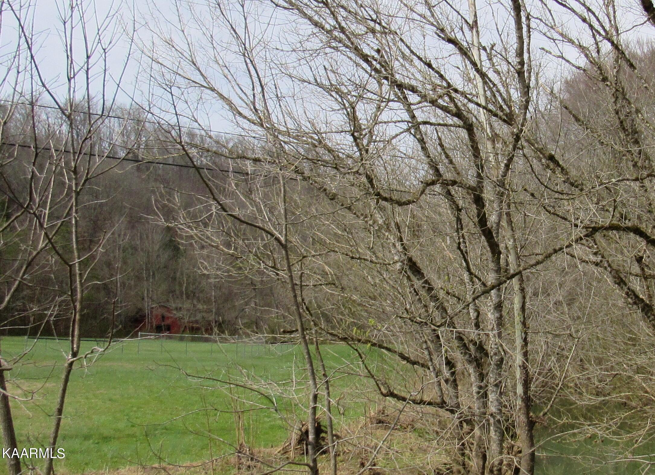 340 Zion Hill Road Seymour, TN 37865 - Photo 54 of 60 IMG_3516