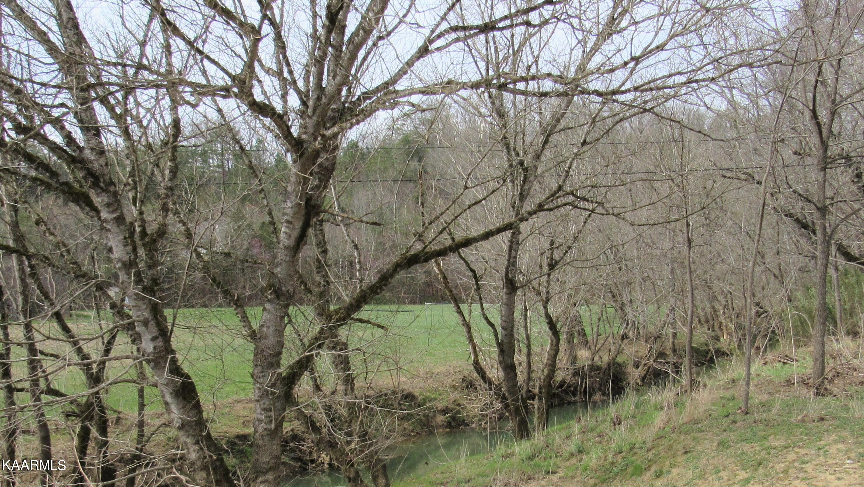 340 Zion Hill Road Seymour, TN 37865 - Photo 56 of 60 IMG_3518