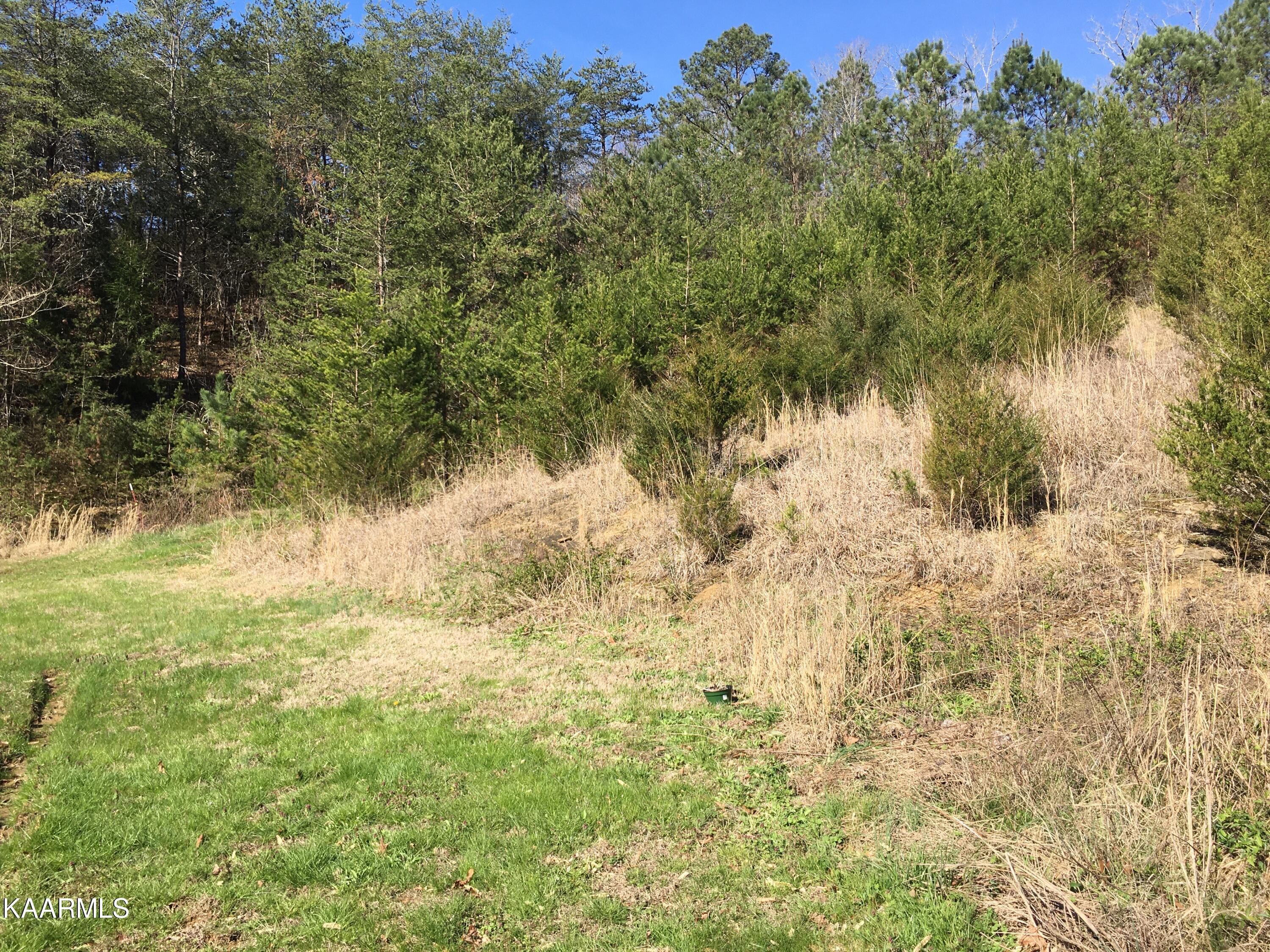 340 Zion Hill Road Seymour, TN 37865 - Photo 59 of 60 ZIONBACKYARD2IMG-8494