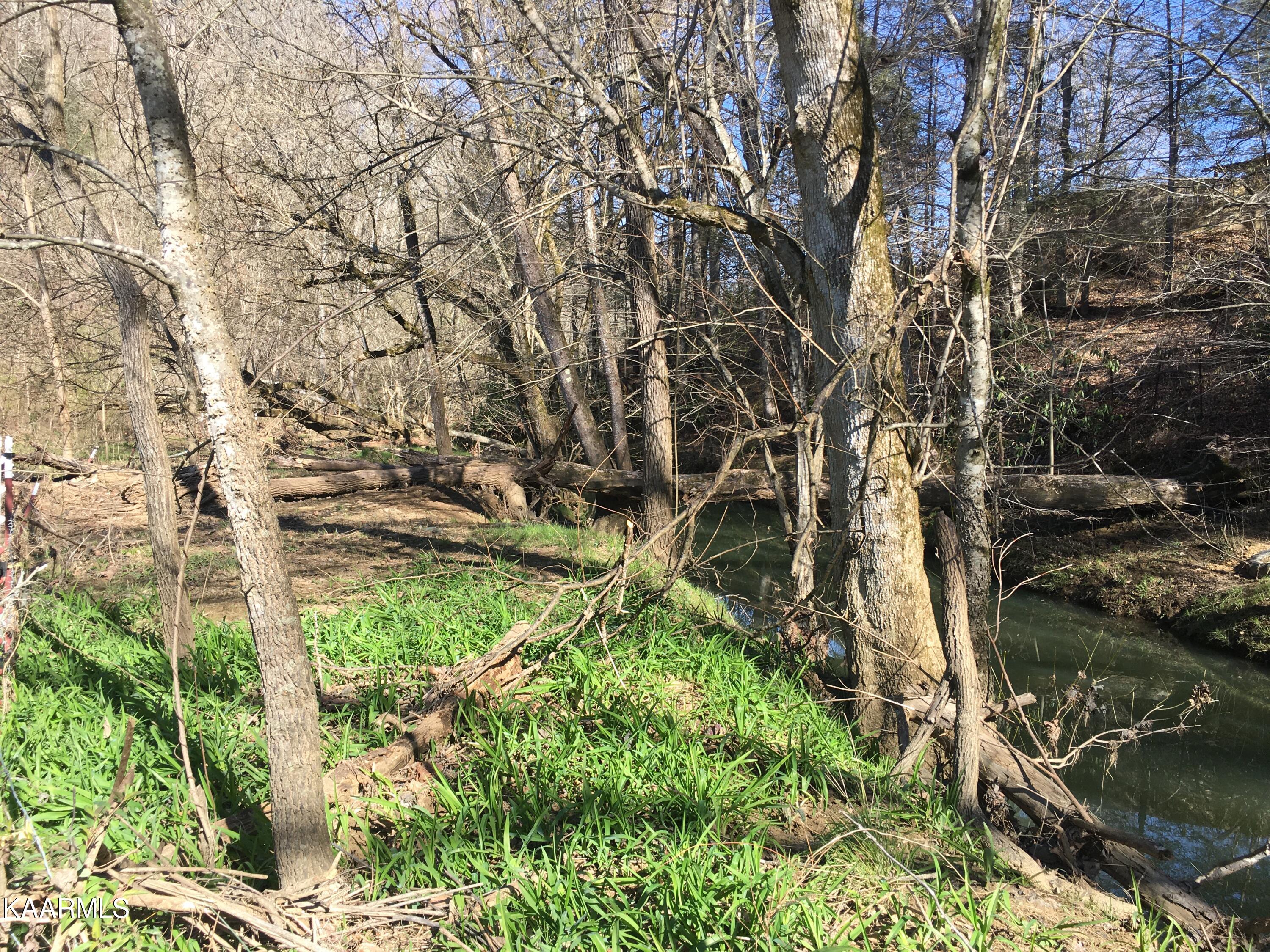 340 Zion Hill Road Seymour, TN 37865 - Photo 6 of 60 ZIONIMG-8479