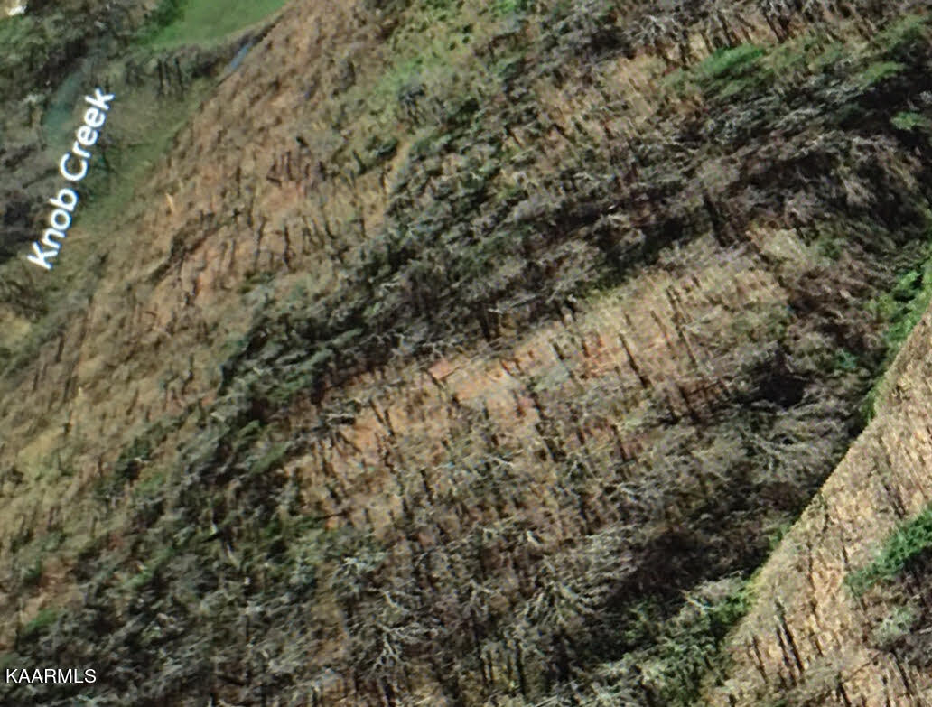 340 Zion Hill Road Seymour, TN 37865 - Photo 7 of 60 5