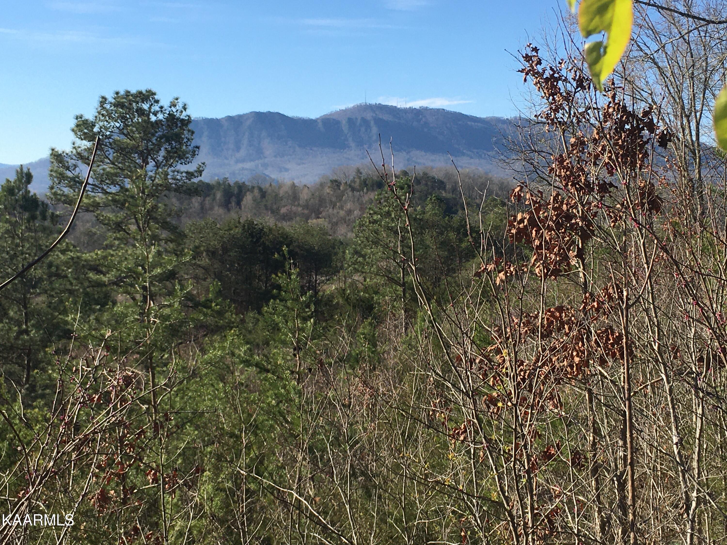 340 Zion Hill Road Seymour, TN 37865 - Photo 9 of 60 ZION,MTIMG-8462