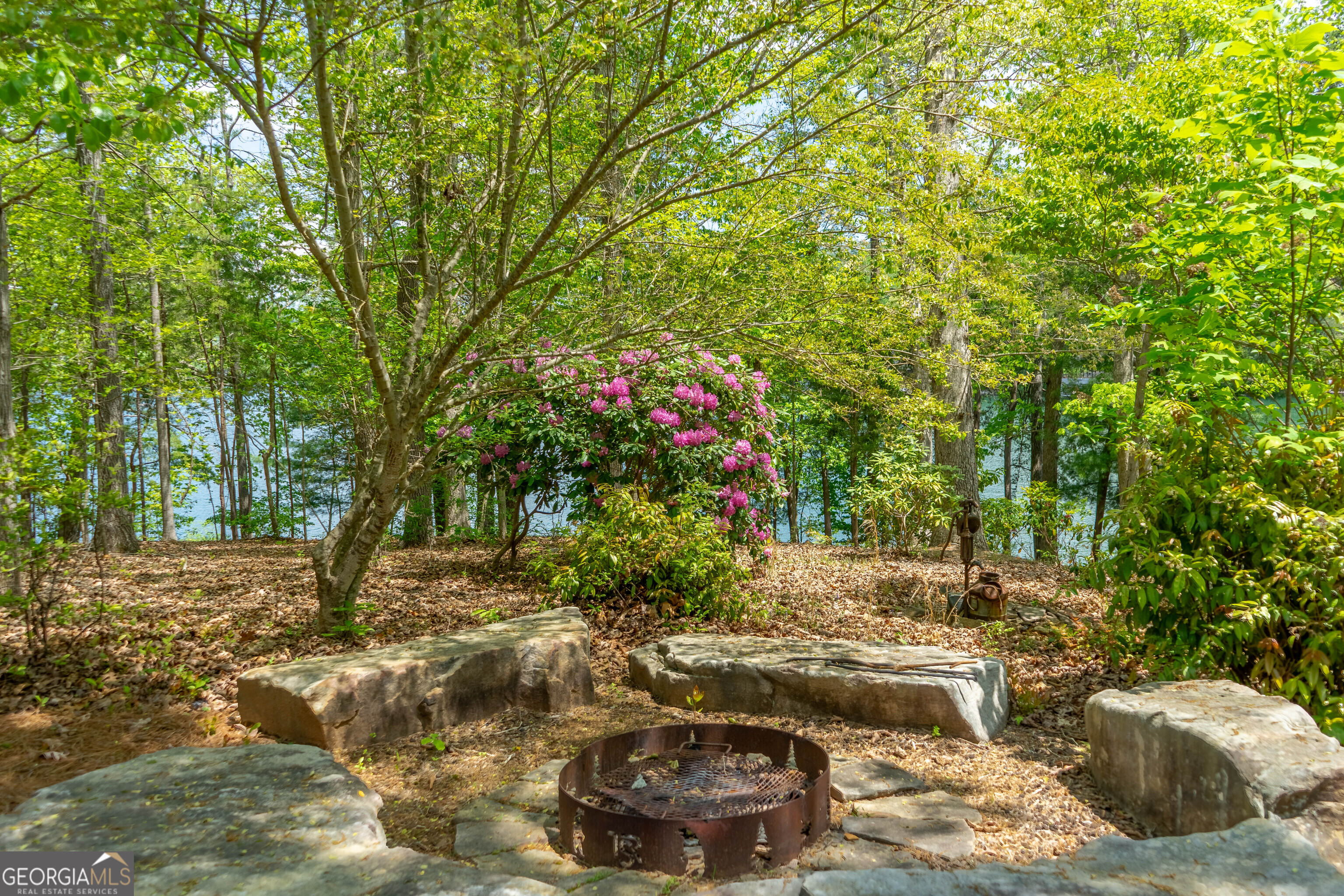 1 Burton Island Tiger, GA 30576 - Photo 72 of 98 a backyard of a house with lots of green space