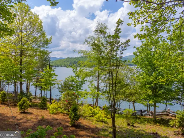 $10,000,000 | 1 Burton Island, Tiger, GA 30576