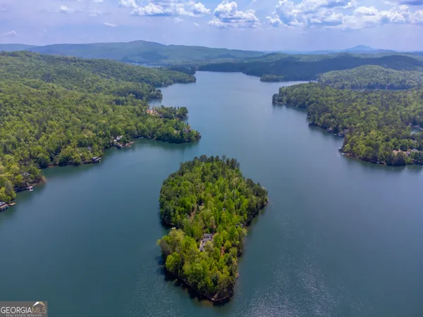 $10,000,000 | 1 Burton Island, Tiger, GA 30576