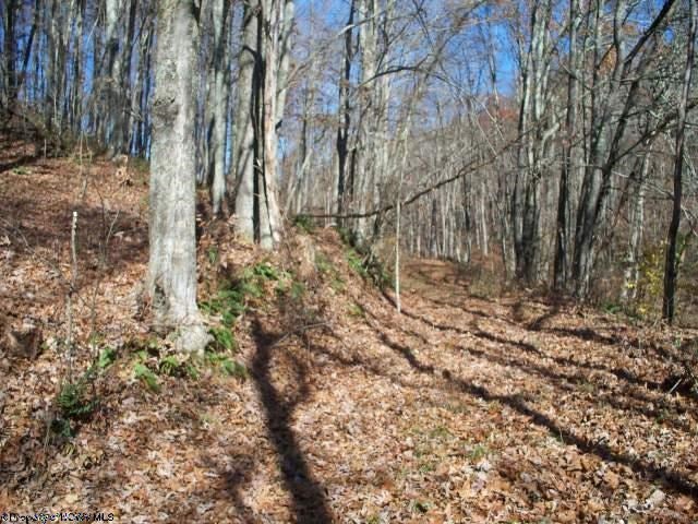 9 Joseph Chapel Road Belington, WV 26250 - Photo 14 of 18 Gallery Image 14