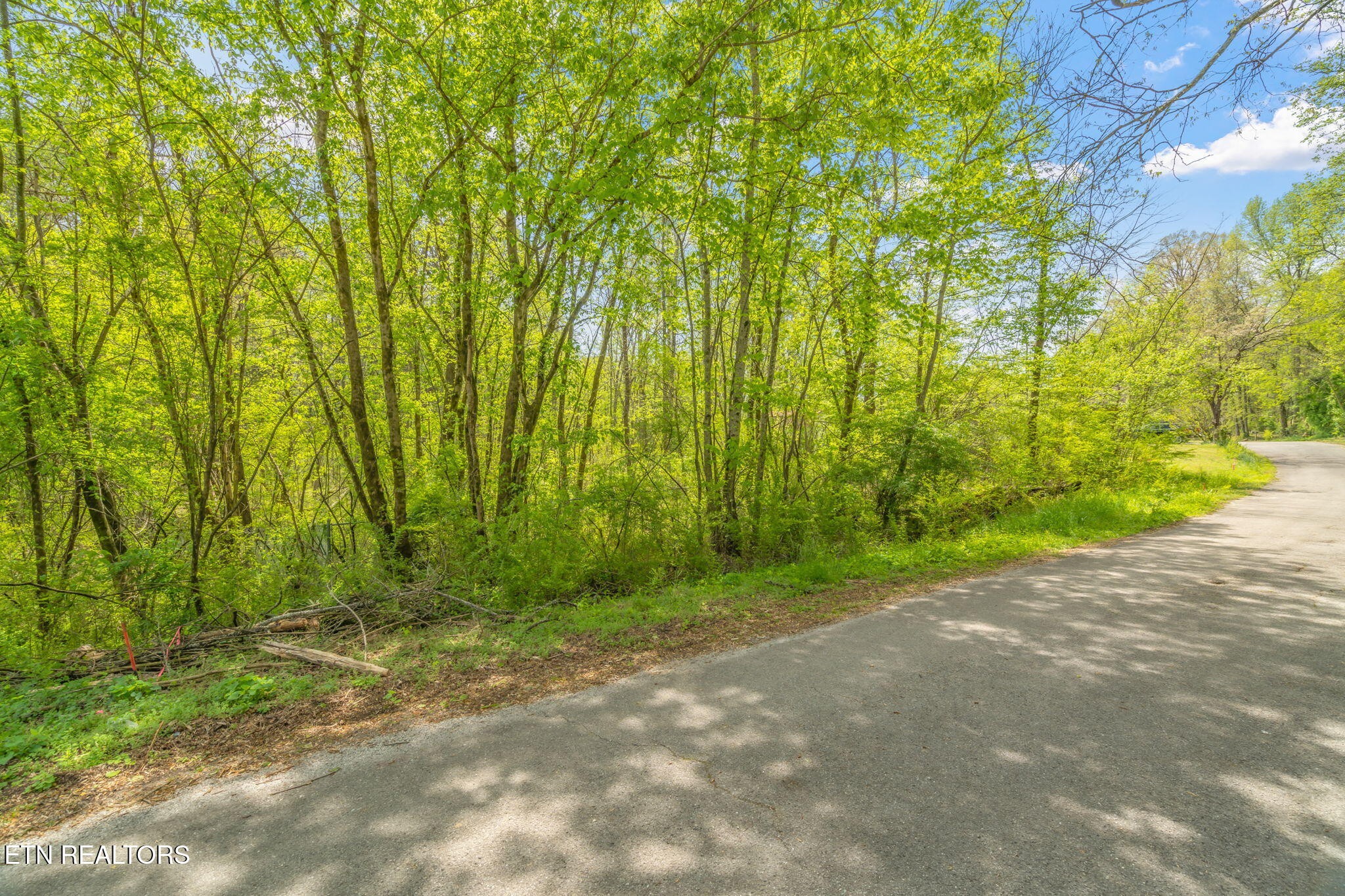 6 Hen Valley Road Oliver Springs, TN 37840 - Photo 5 of 16 a view of a yard with large trees