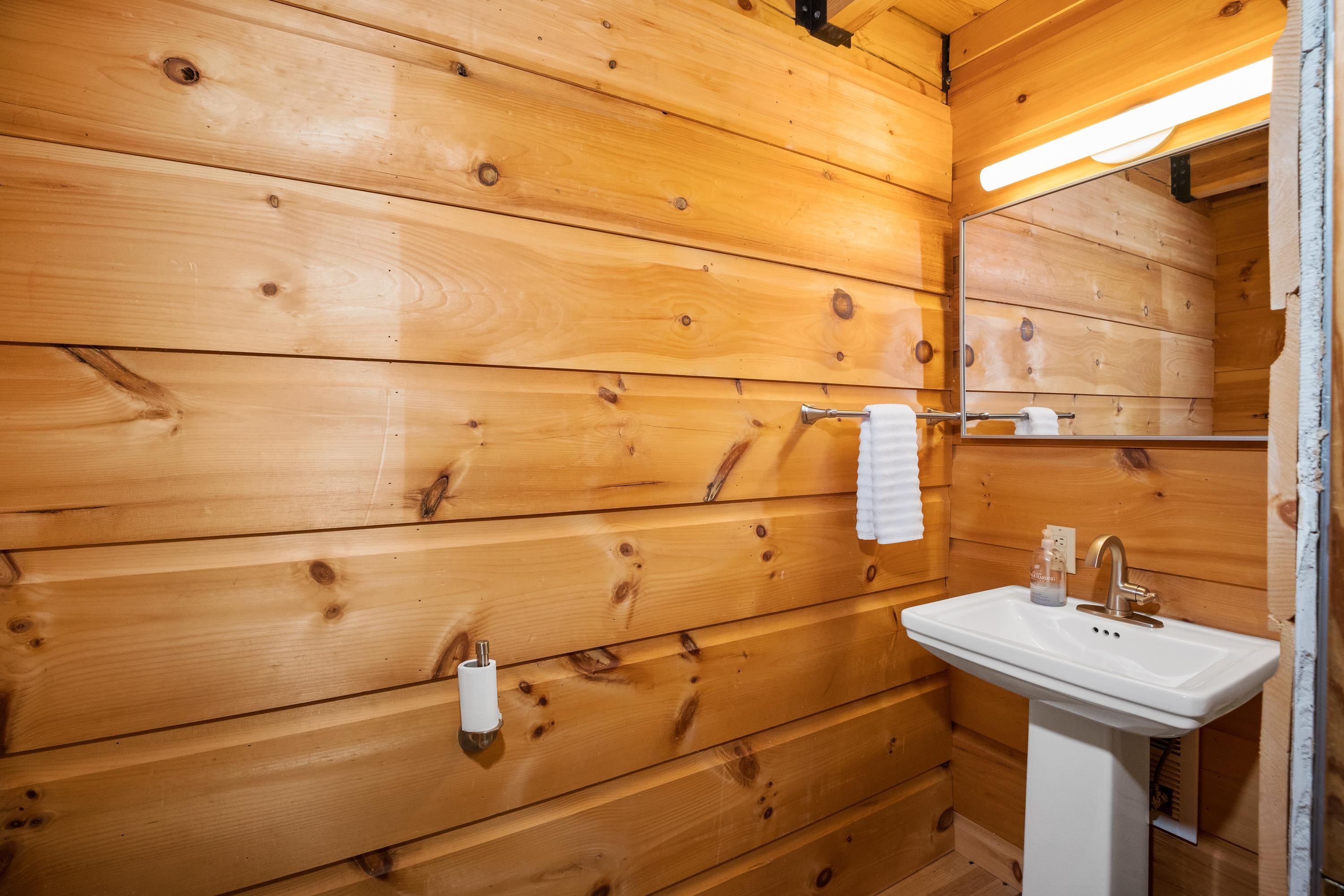 14238 Plains Mill Road Timberville, VA 22853 - Photo 21 of 68 a bathroom with a sink and mirror