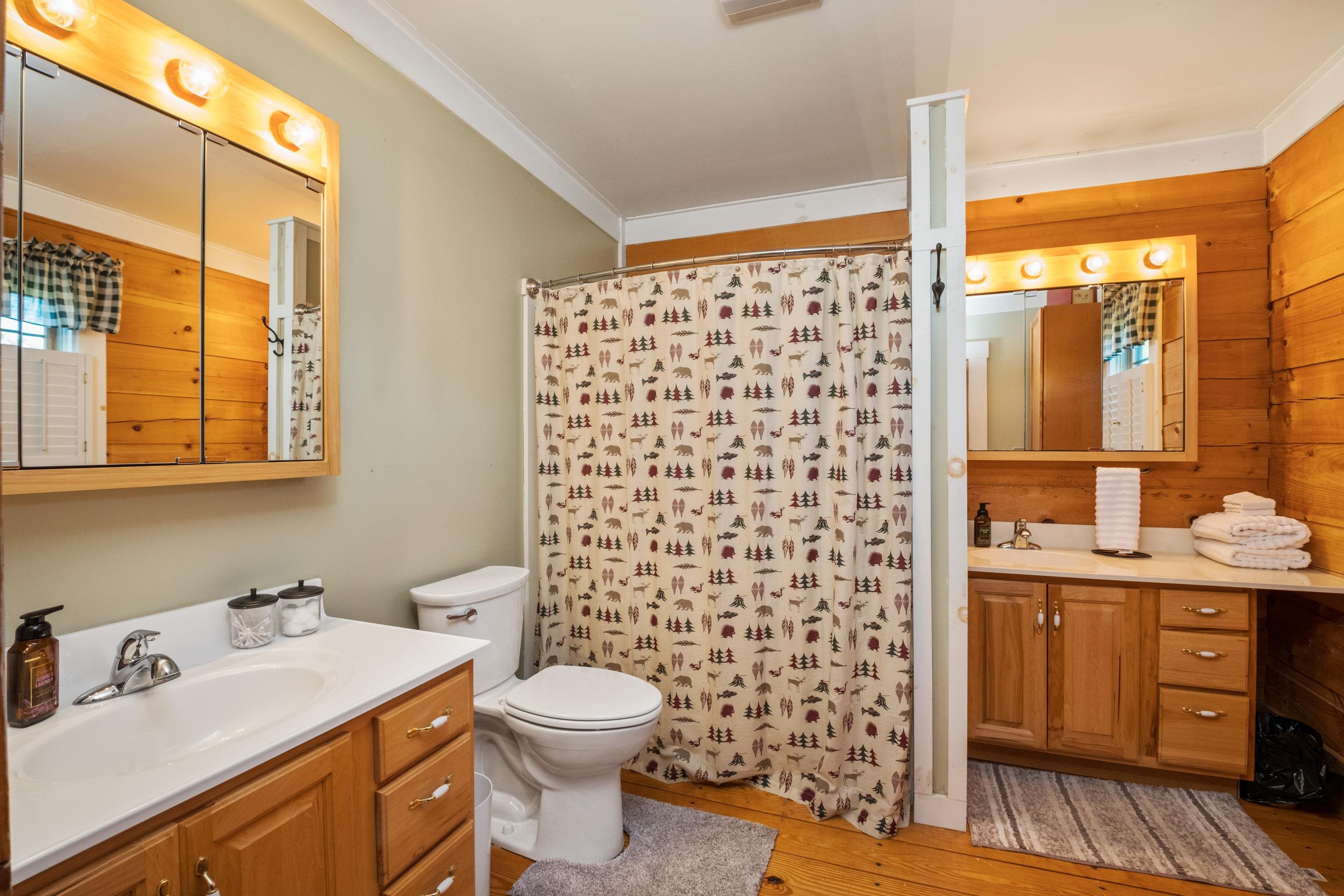 14238 Plains Mill Road Timberville, VA 22853 - Photo 27 of 68 a bathroom with a sink toilet and shower