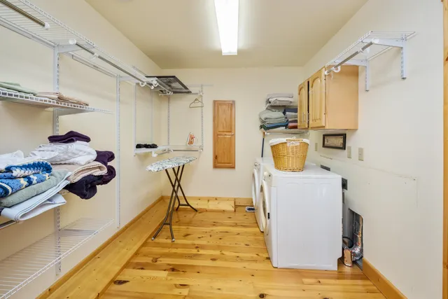 a view of a park with plants and trees