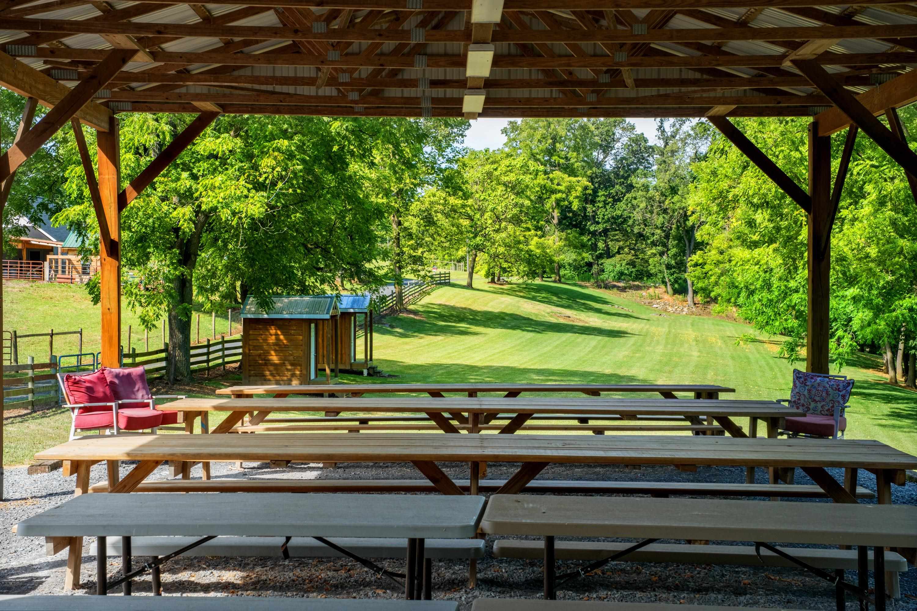 14238 Plains Mill Road Timberville, VA 22853 - Photo 55 of 68 a view of a chairs and table in the patio