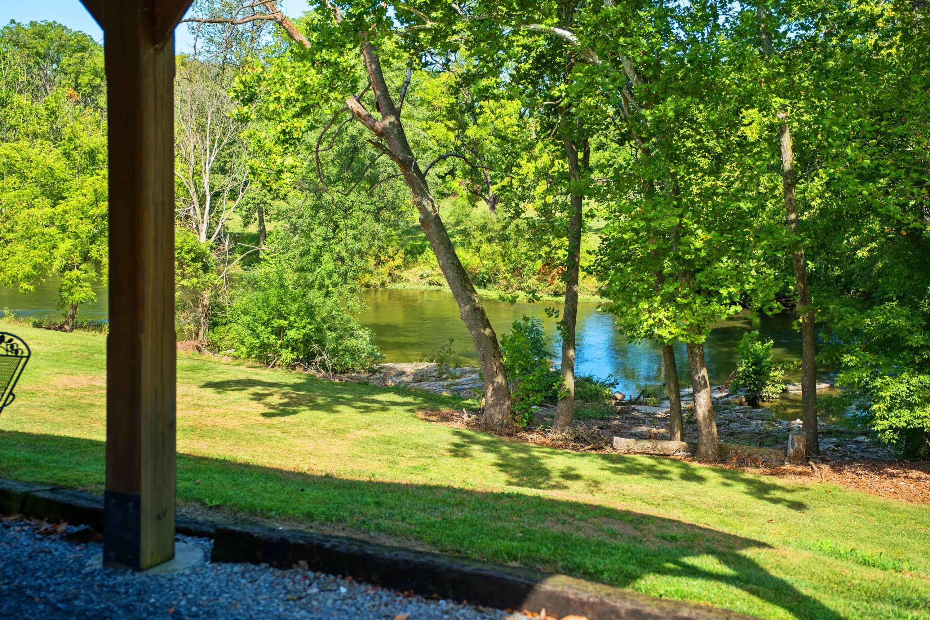 14238 Plains Mill Road Timberville, VA 22853 - Photo 56 of 68 a view of a yard with an tree