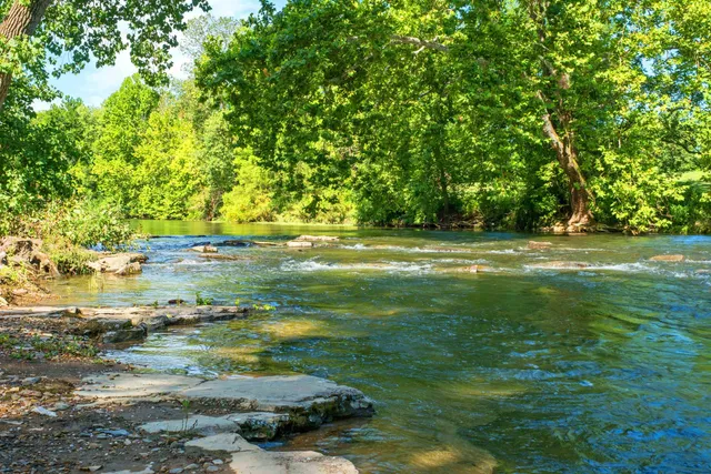 $948,000 | 14238 Plains Mill Road, Timberville, VA 22853