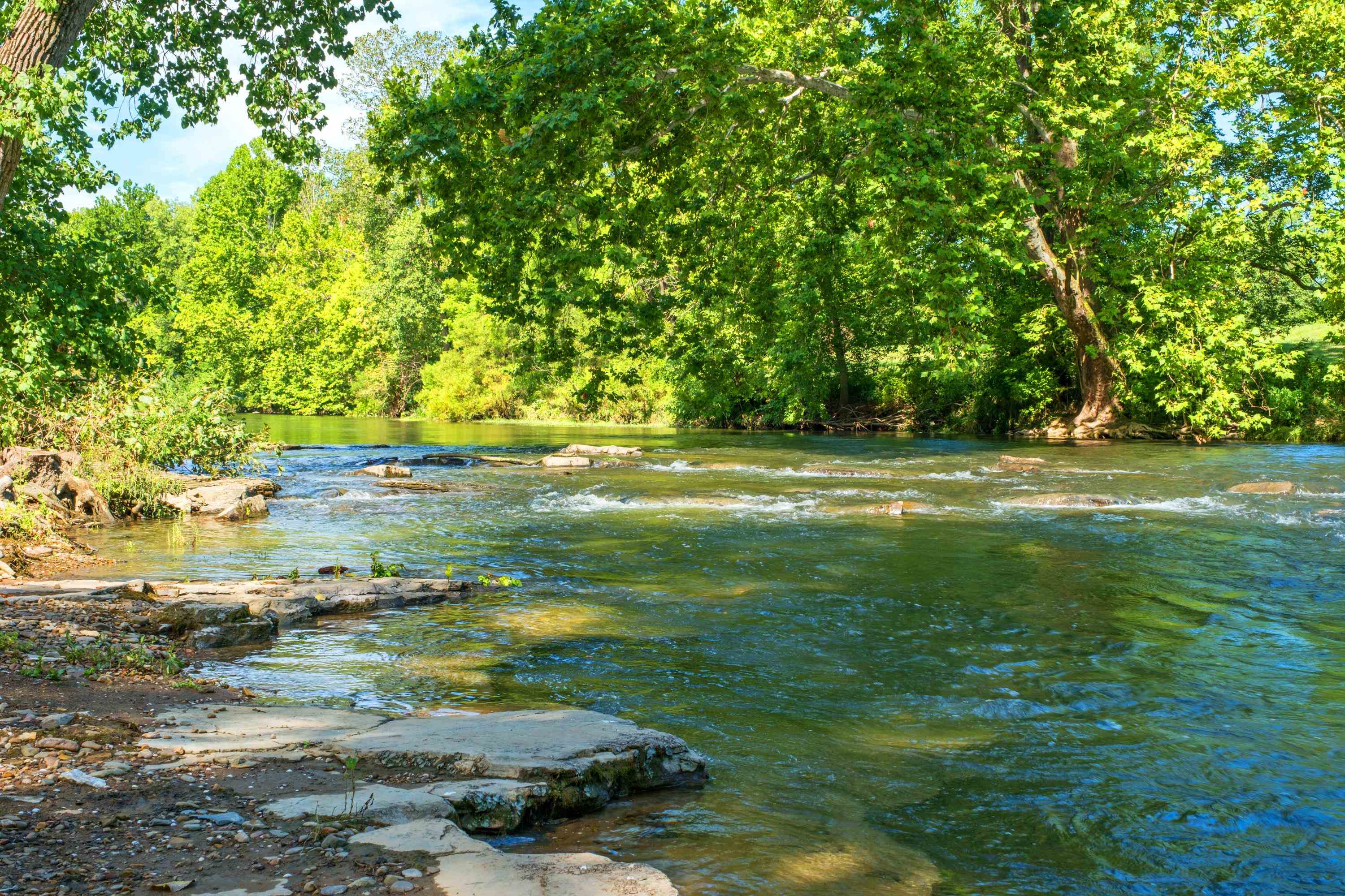 14238 Plains Mill Road Timberville, VA 22853 - Photo 57 of 68 a view of a lake view
