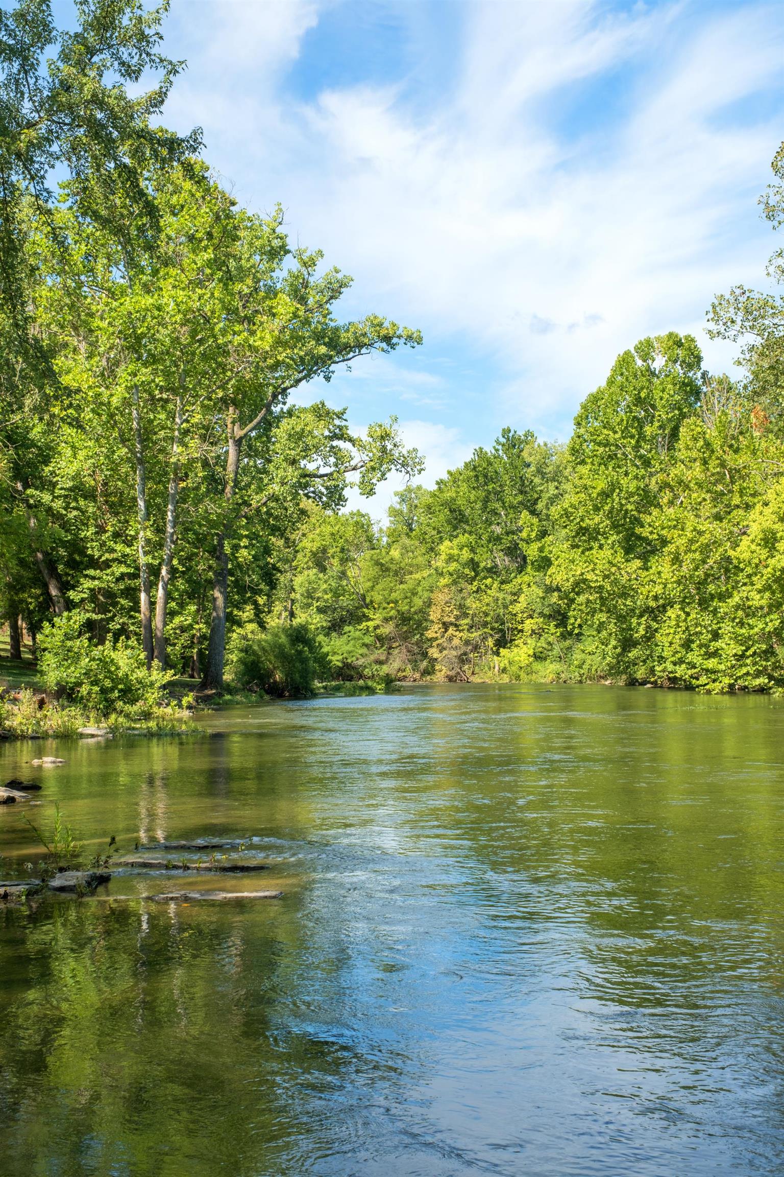 14238 Plains Mill Road Timberville, VA 22853 - Photo 60 of 68