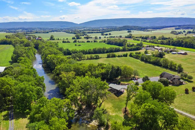 a view of a yard with an trees