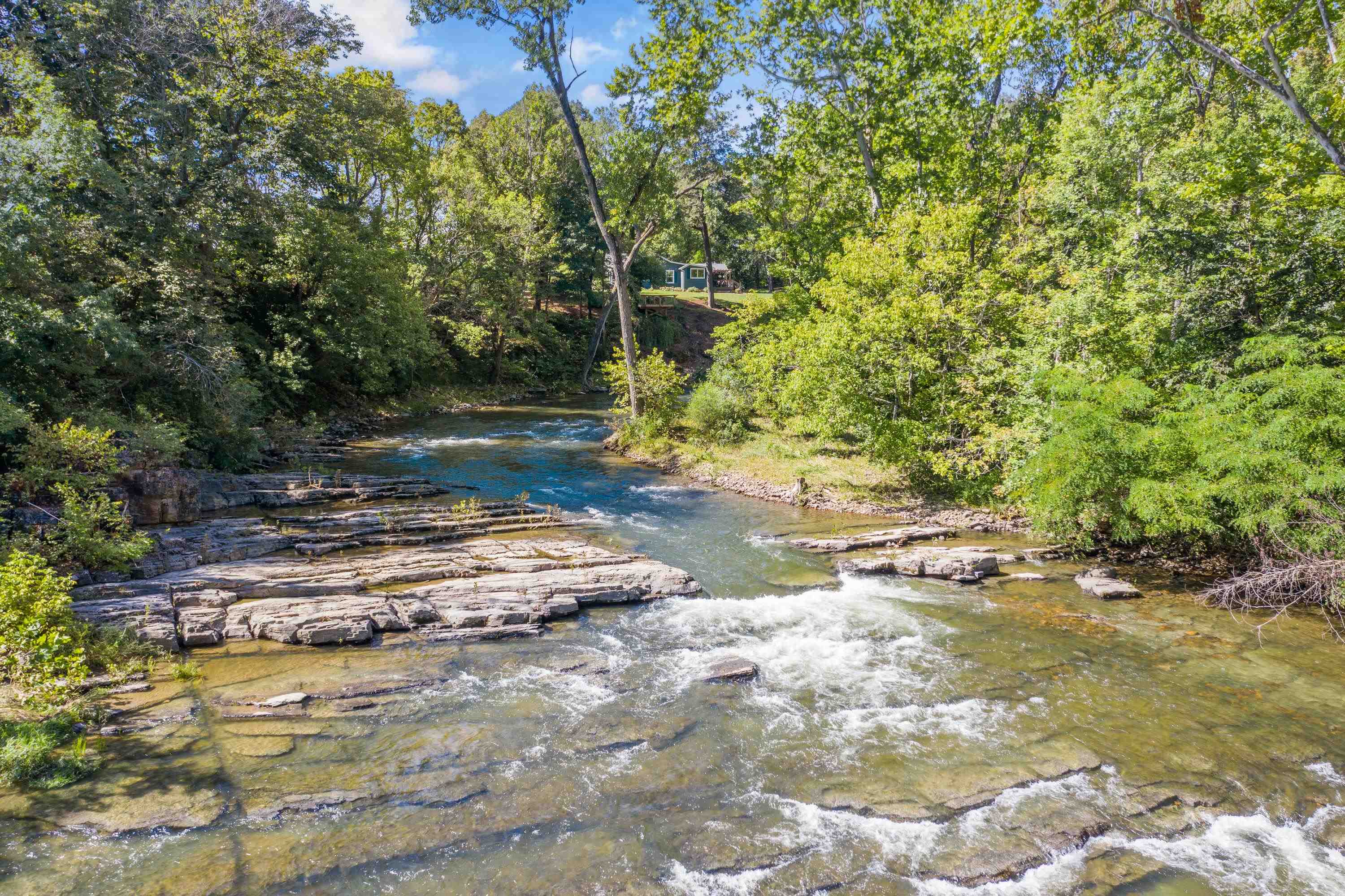 14238 Plains Mill Road Timberville, VA 22853 - Photo 9 of 68 a view of a yard with an trees