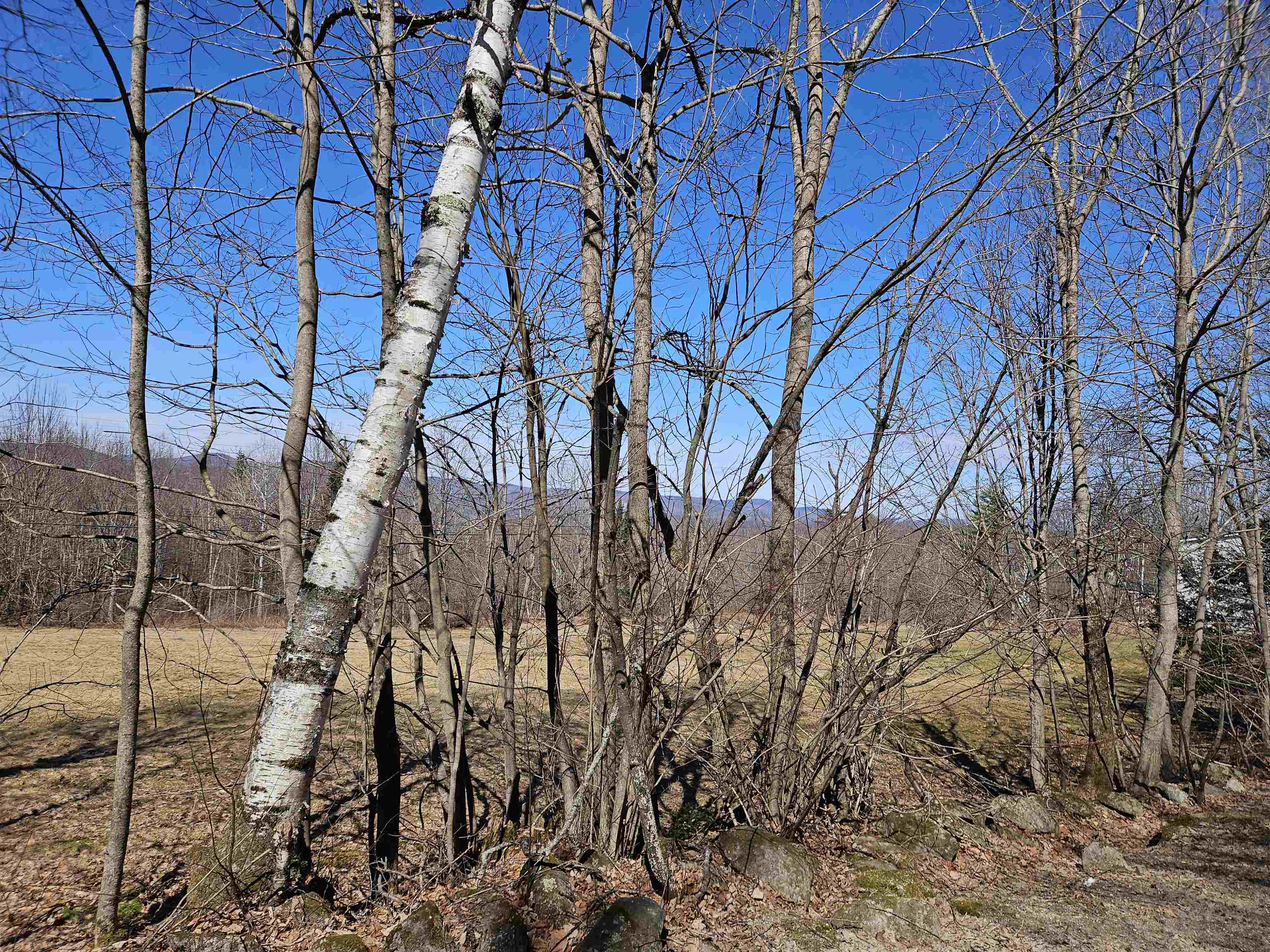 Lot 5 South Road Bethlehem, NH 03574 - Photo 11 of 21