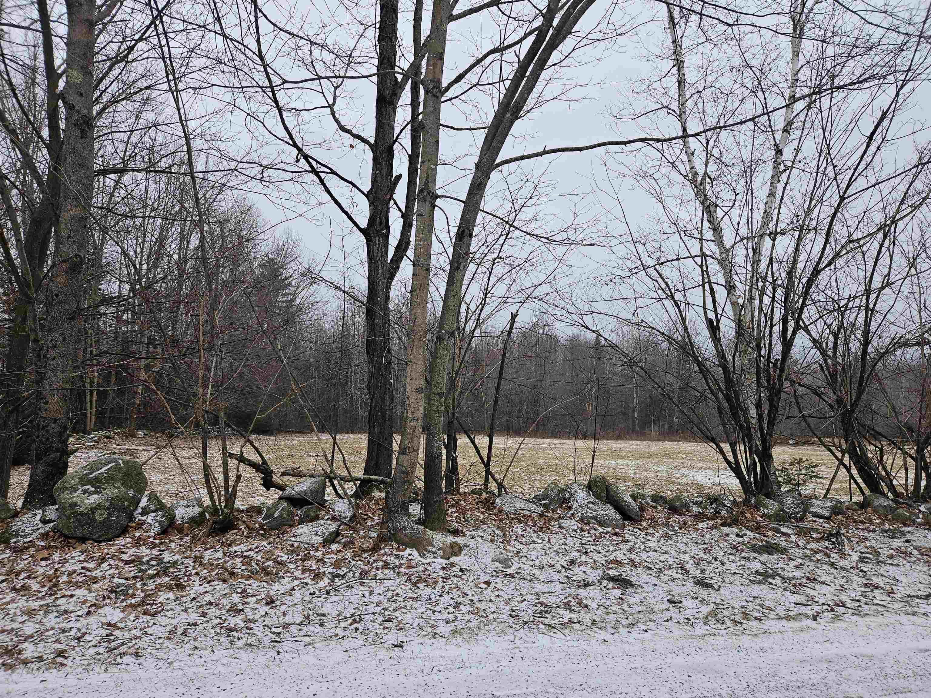 Lot 5 South Road Bethlehem, NH 03574 - Photo 16 of 21