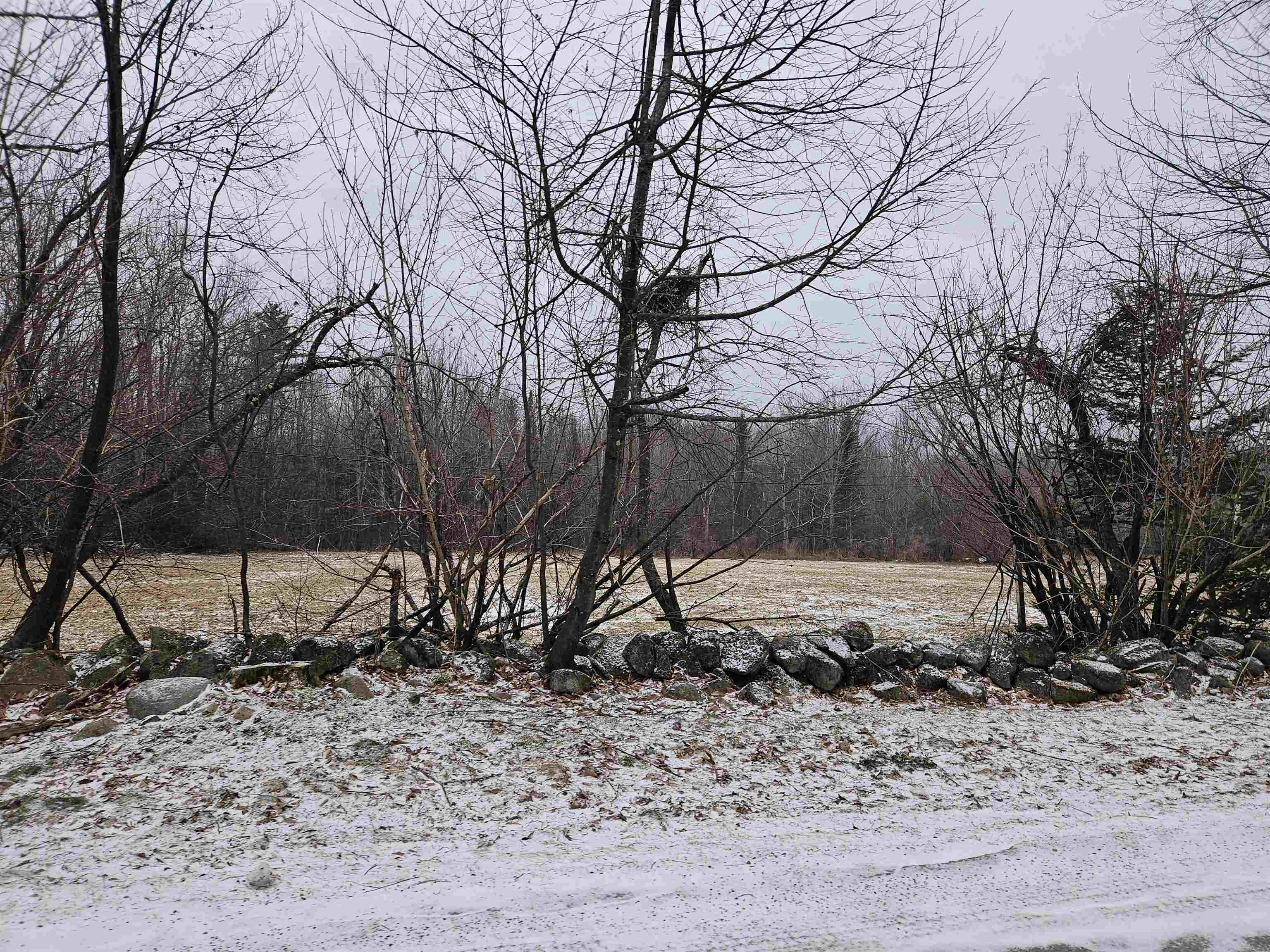 Lot 5 South Road Bethlehem, NH 03574 - Photo 17 of 21