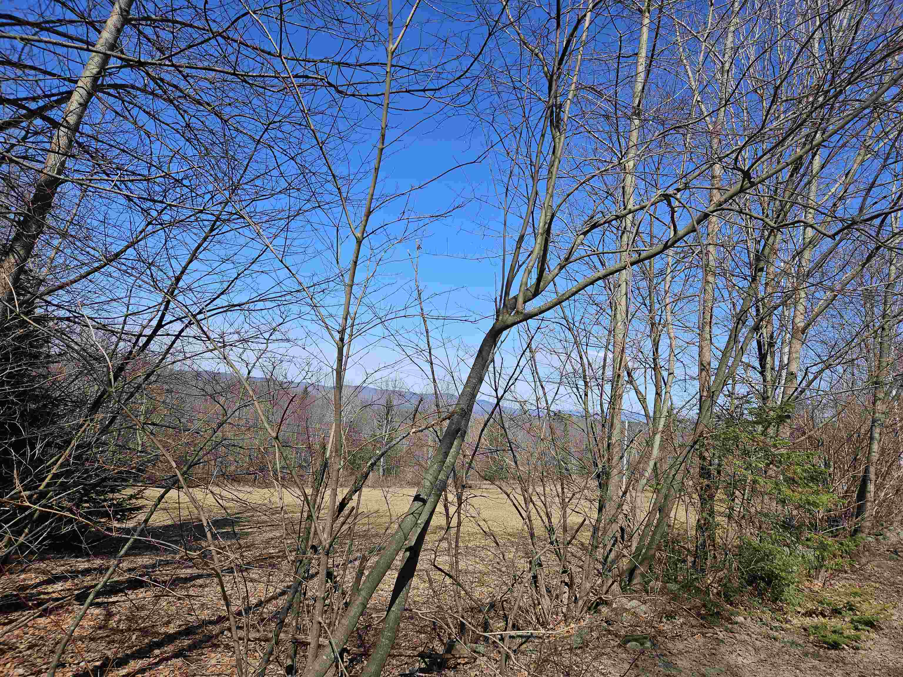 Lot 5 South Road Bethlehem, NH 03574 - Photo 3 of 21