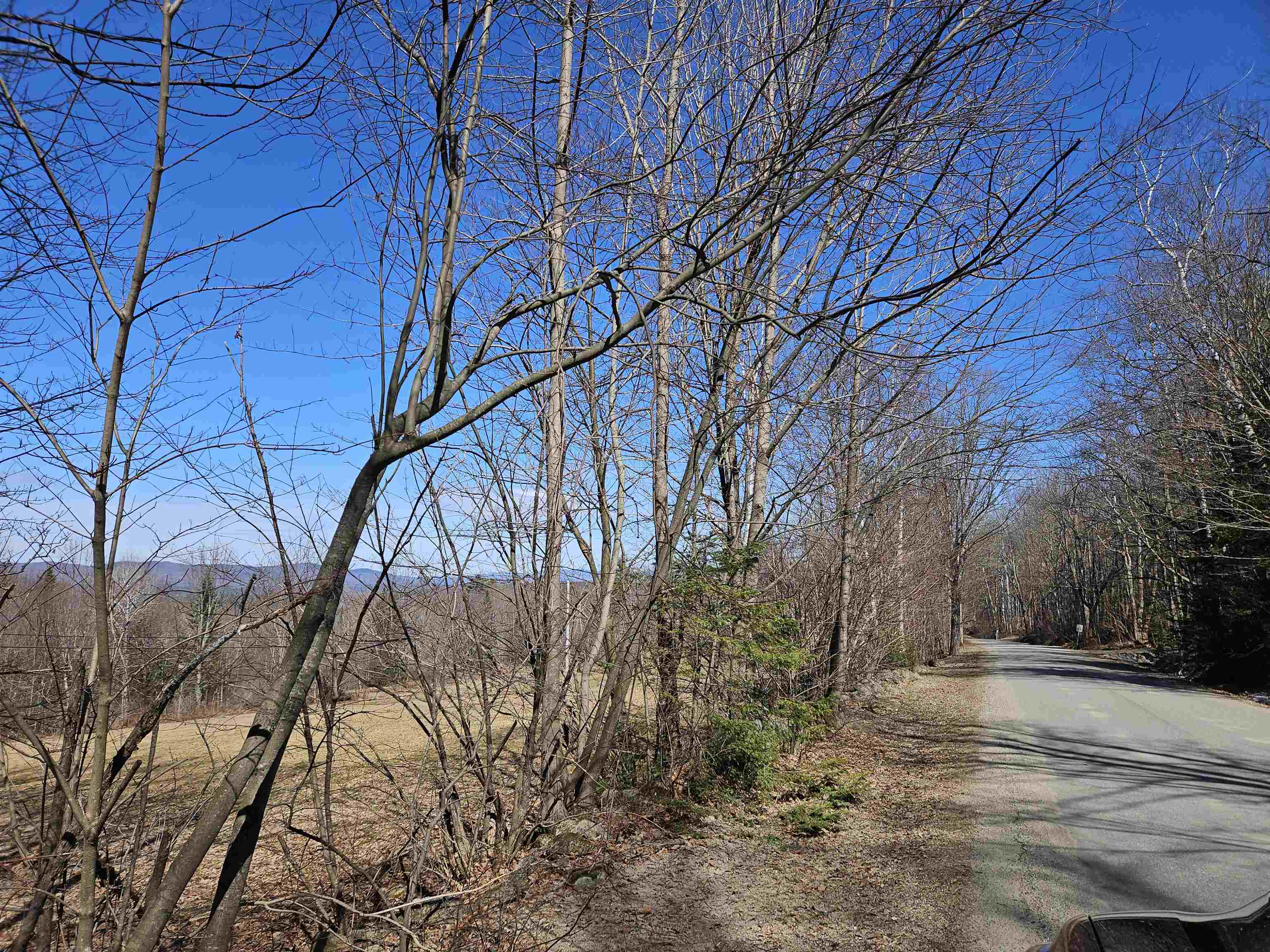 Lot 5 South Road Bethlehem, NH 03574 - Photo 4 of 21
