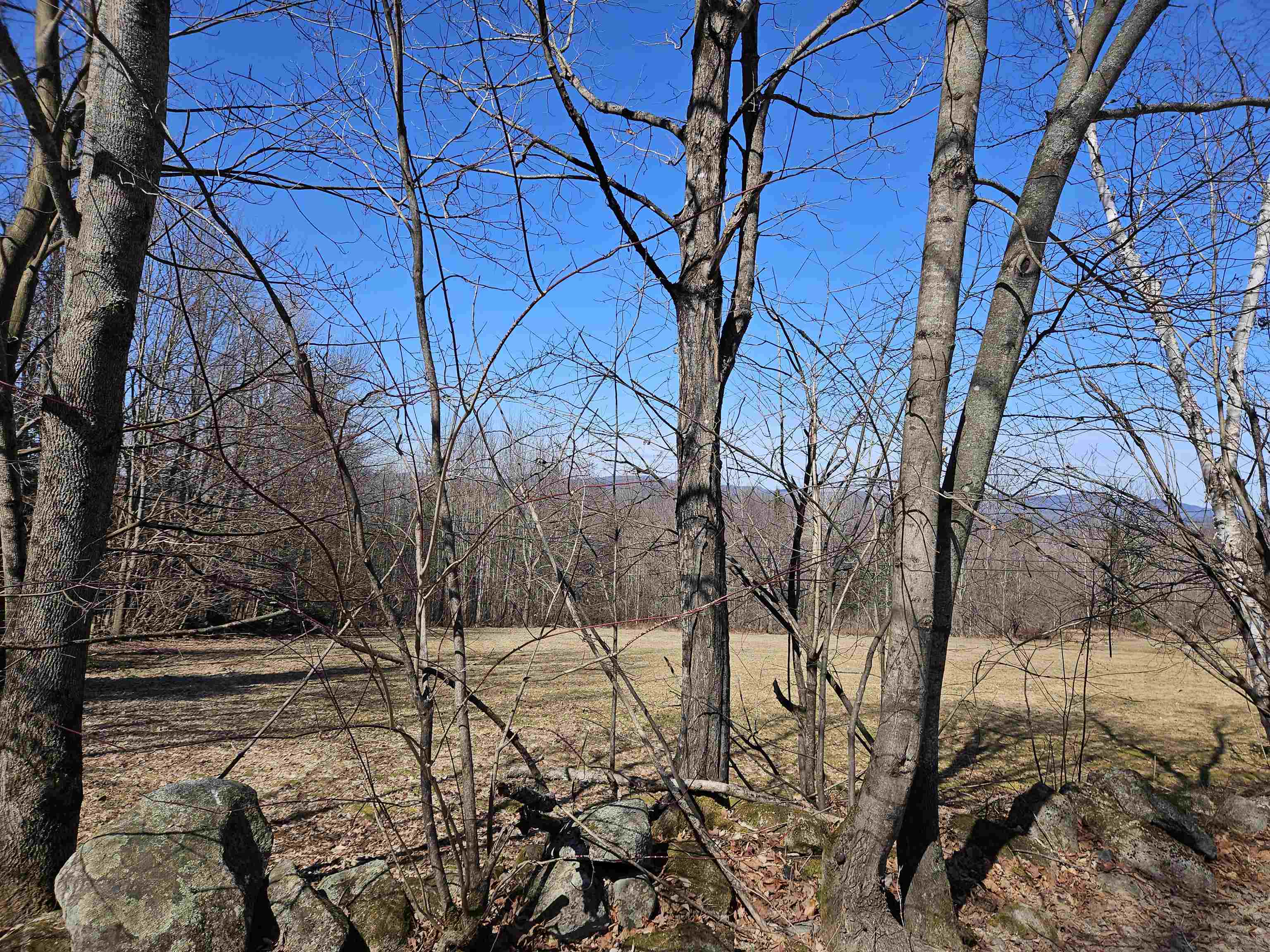 Lot 5 South Road Bethlehem, NH 03574 - Photo 5 of 21