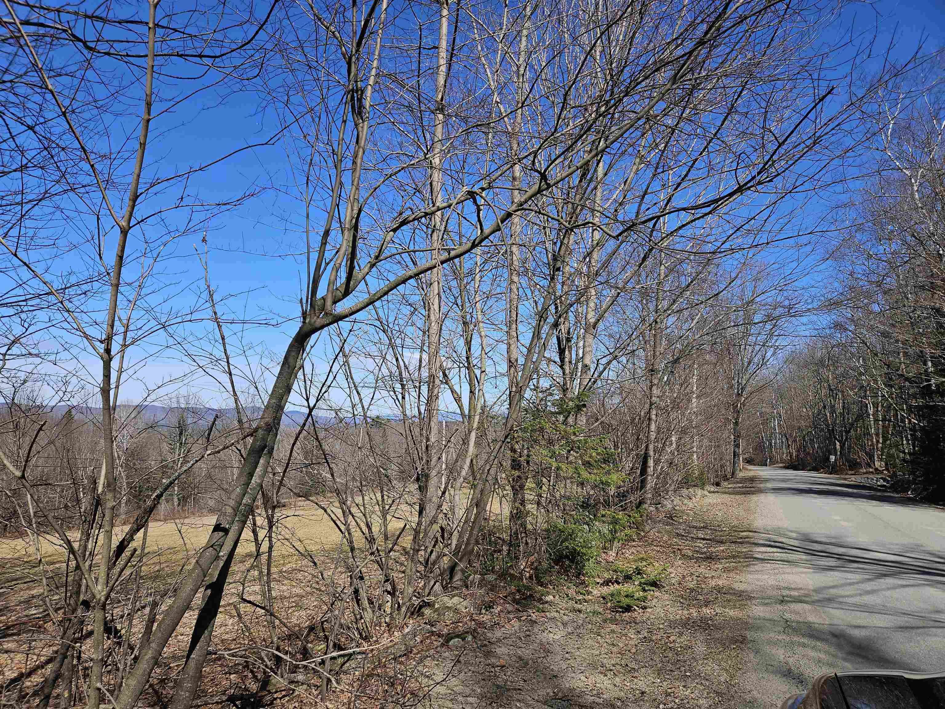 Lot 5 South Road Bethlehem, NH 03574 - Photo 6 of 21
