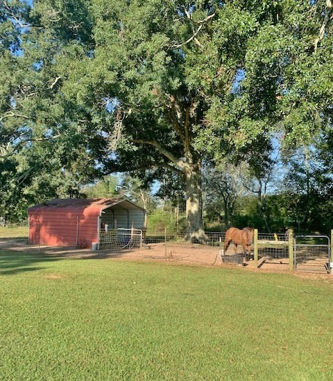 615 Fordsville Road Tylertown, MS 39667 - Photo 40 of 63 Photo 40
