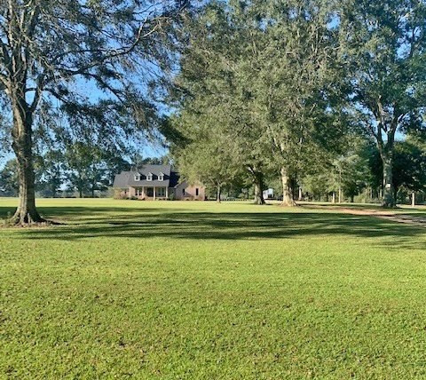615 Fordsville Road Tylertown, MS 39667 - Photo 48 of 63 Photo 48