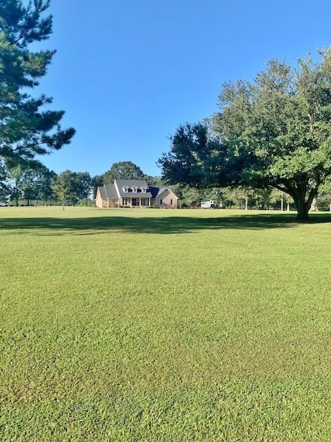 615 Fordsville Road Tylertown, MS 39667 - Photo 55 of 63 Photo 55