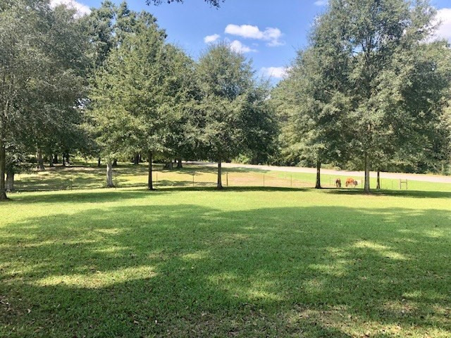615 Fordsville Road Tylertown, MS 39667 - Photo 58 of 63 Photo 58