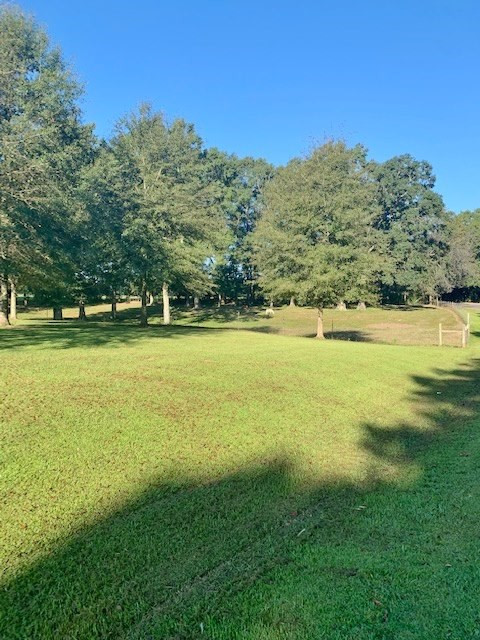 615 Fordsville Road Tylertown, MS 39667 - Photo 61 of 63 Photo 61