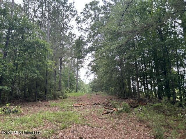 301 Freeman Road Southwest Summit, MS 39666 - Photo 3 of 43 IMG_4583