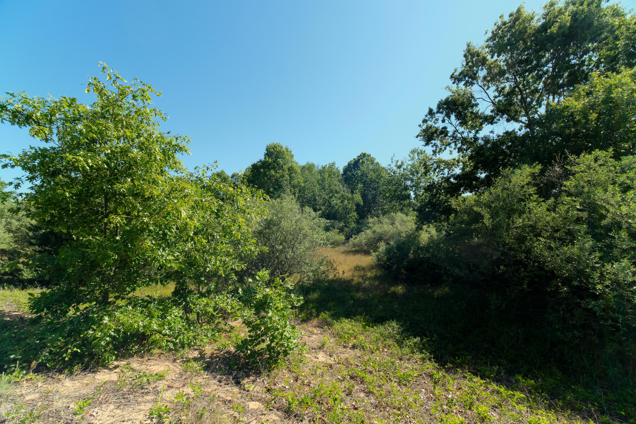 2606 South County Line Road Manistee, MI 49660 - Photo 44 of 49 Acreage