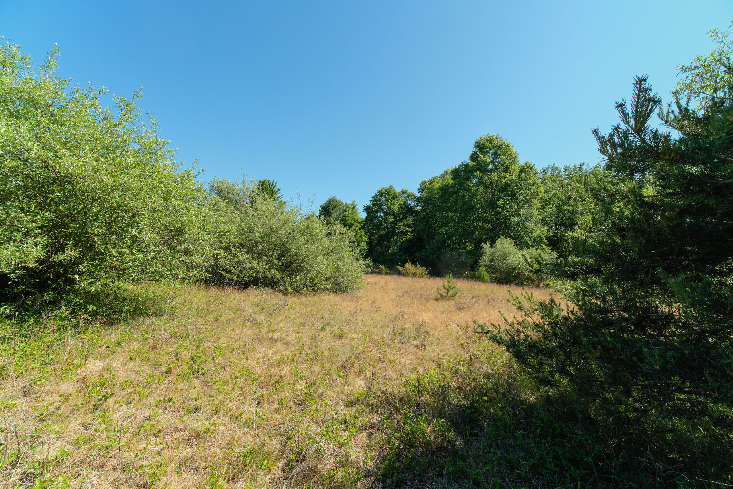 2606 South County Line Road Manistee, MI 49660 - Photo 46 of 49 Acreage