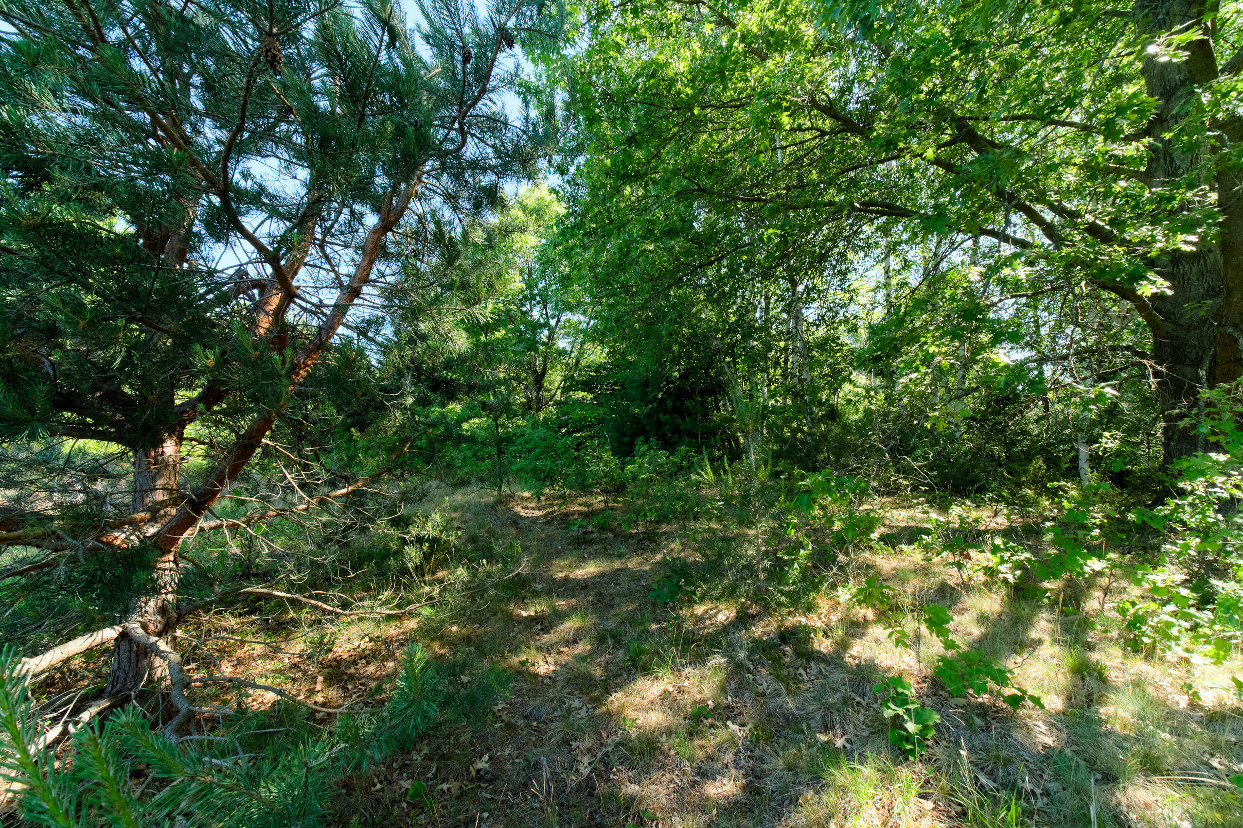 2606 South County Line Road Manistee, MI 49660 - Photo 47 of 49 Acreage