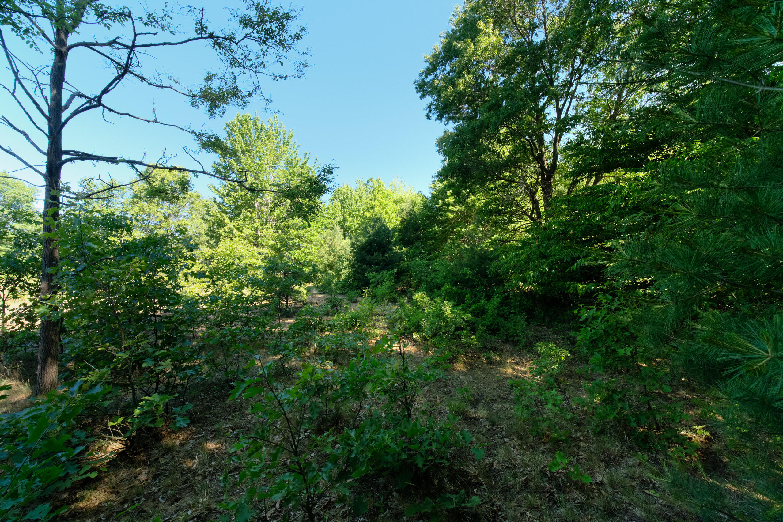 2606 South County Line Road Manistee, MI 49660 - Photo 49 of 49 Acreage