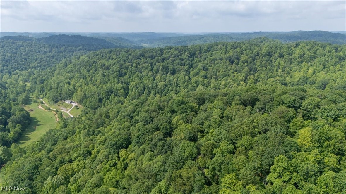 Sandy Run Road Elizabeth, WV 26143 - Photo 23 of 31 Bird's eye view of a forest
