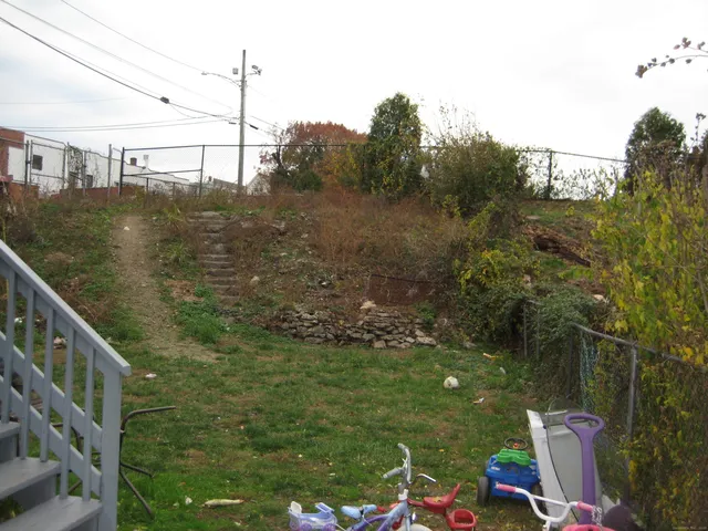 a view of a garden with a lake