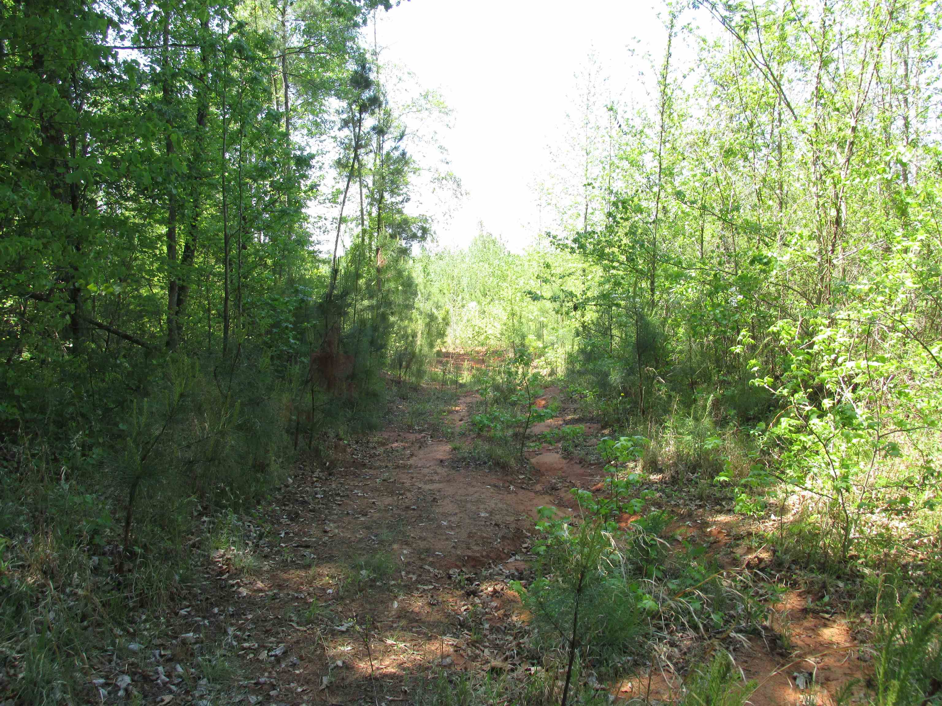 0 Kincaid Bridge Road Winnsboro, SC 29180 - Photo 11 of 13