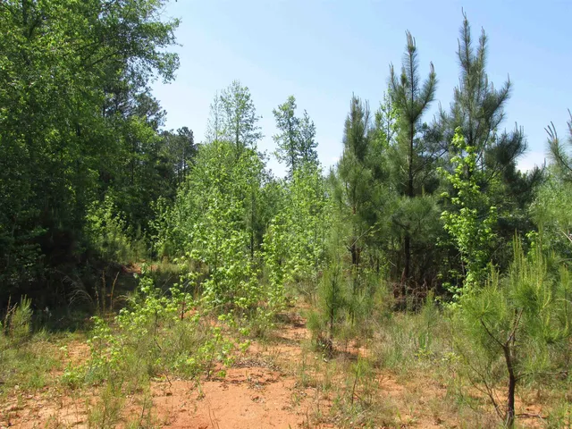 $332,000 | 0 Kincaid Bridge Road, Winnsboro, SC 29180