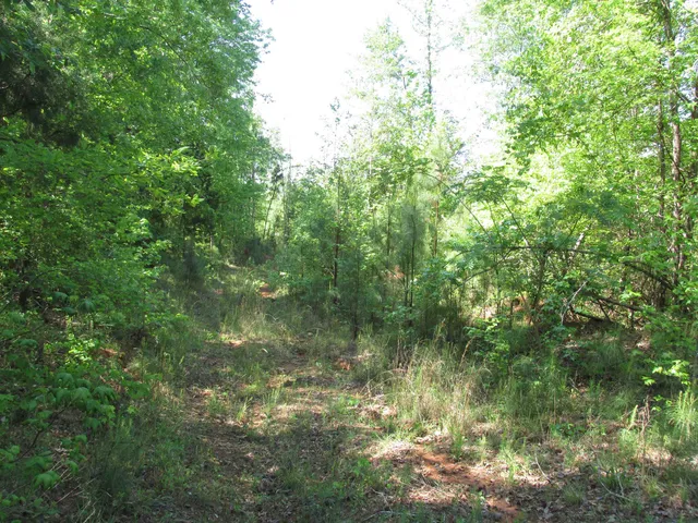 $332,000 | 0 Kincaid Bridge Road, Winnsboro, SC 29180