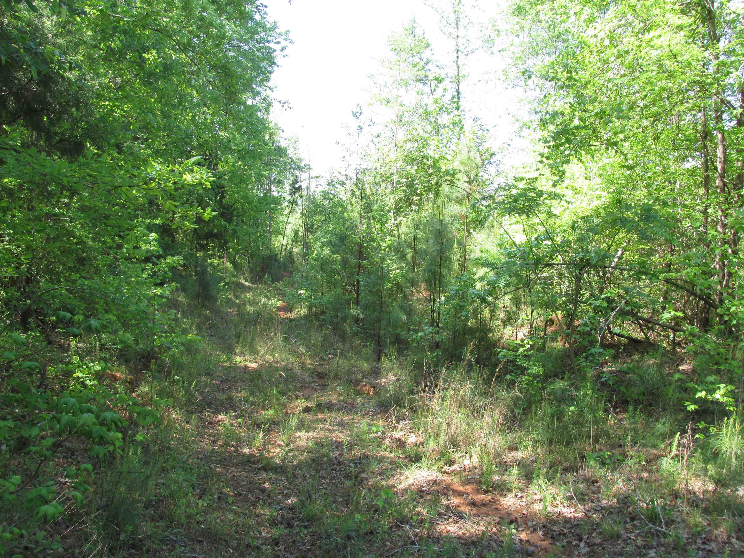 0 Kincaid Bridge Road Winnsboro, SC 29180 - Photo 2 of 13