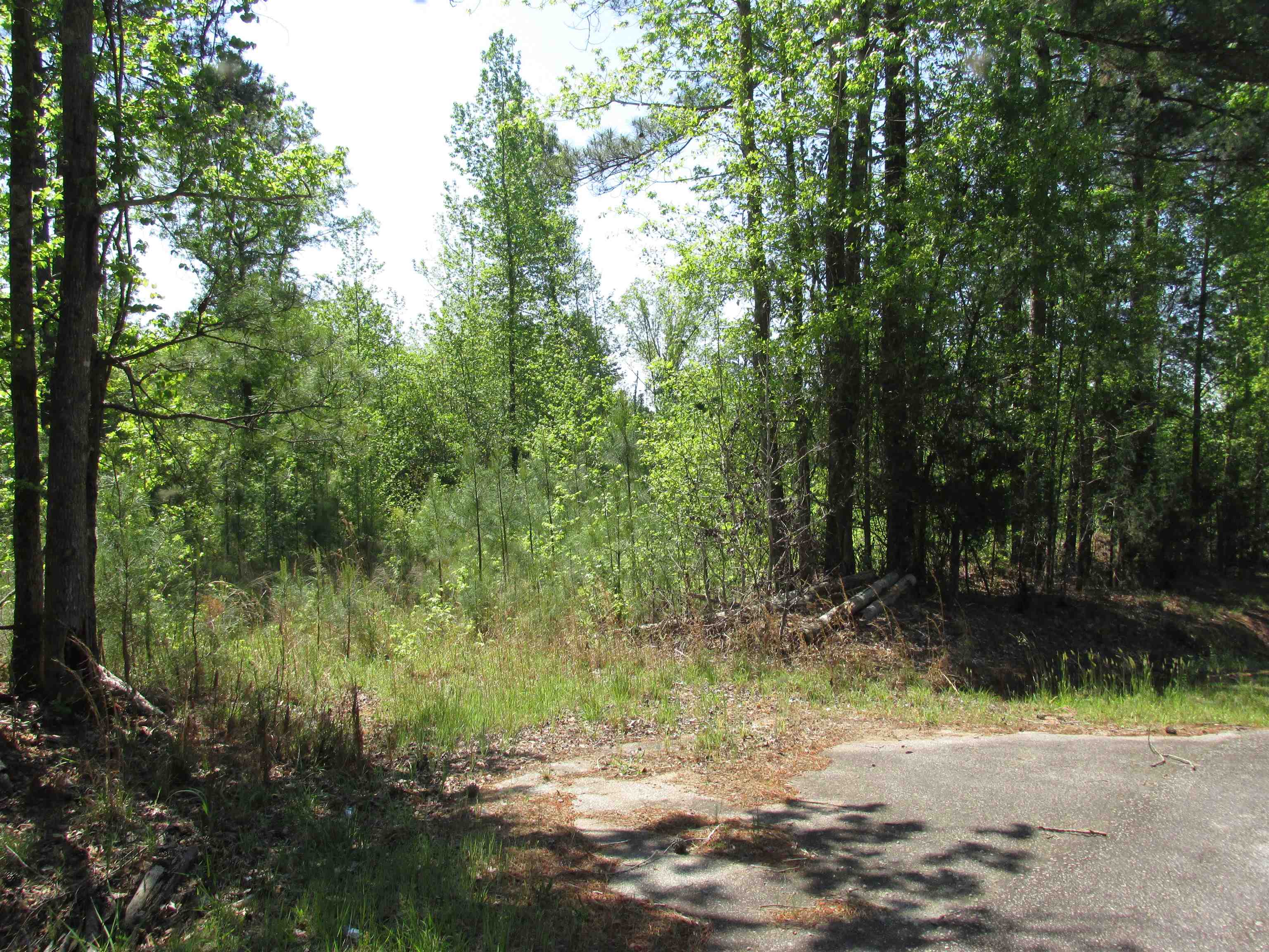 0 Kincaid Bridge Road Winnsboro, SC 29180 - Photo 9 of 13